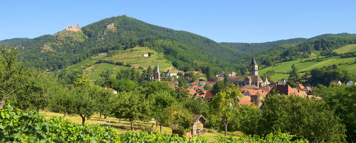 France,  Ribeauville