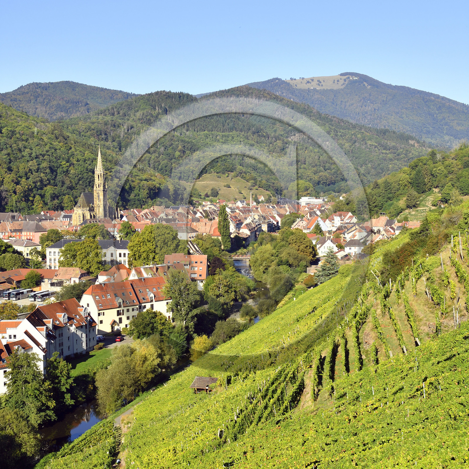 France, Thann