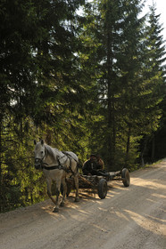 Roumanie, Apuseni