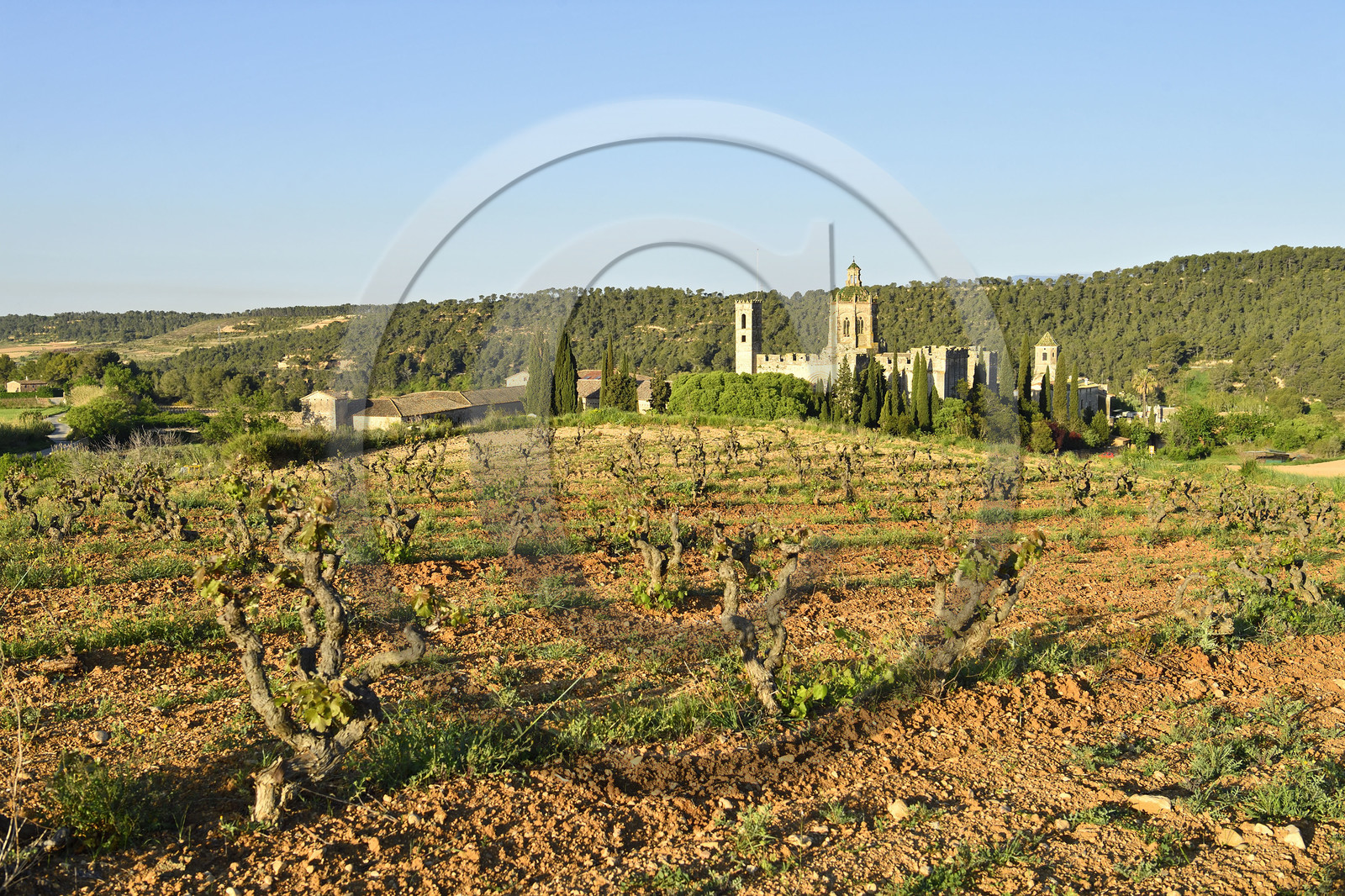 Espagne, Santes Creus