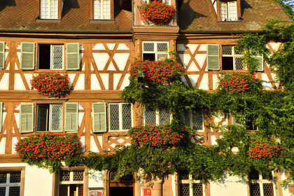 France, Turckheim