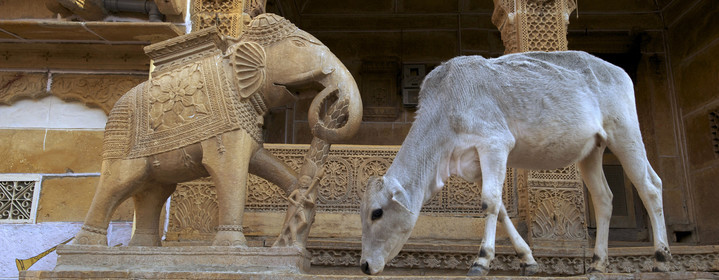 Inde, Jaisalmer