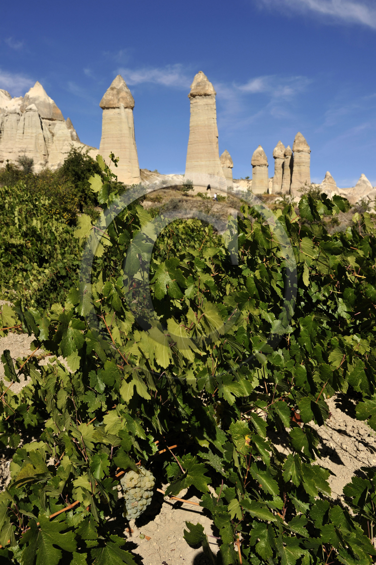 Turquie, Cappadoce