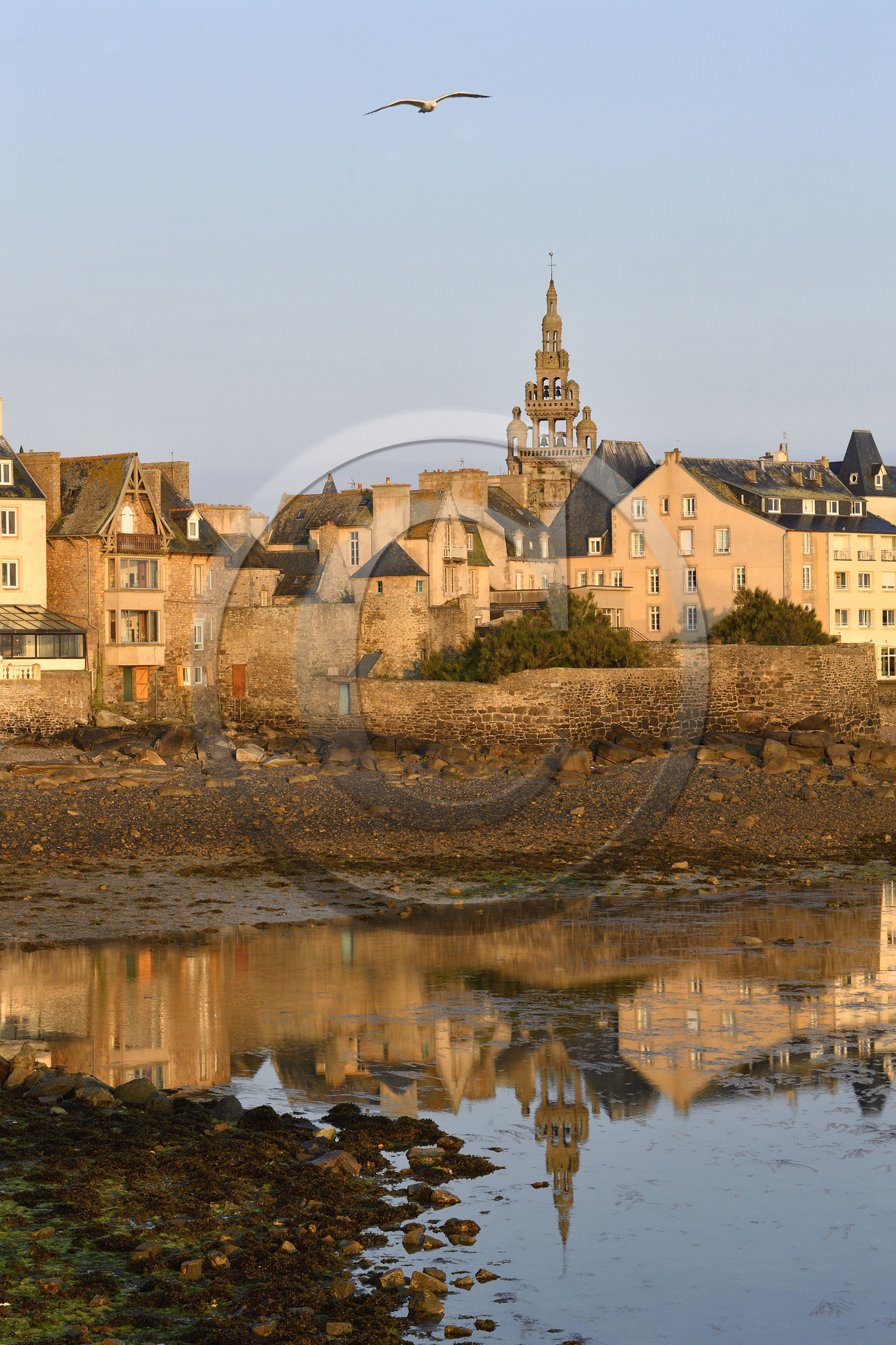 France, Roscoff