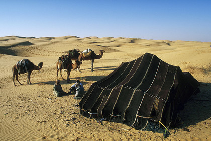 Erg, Tunisie