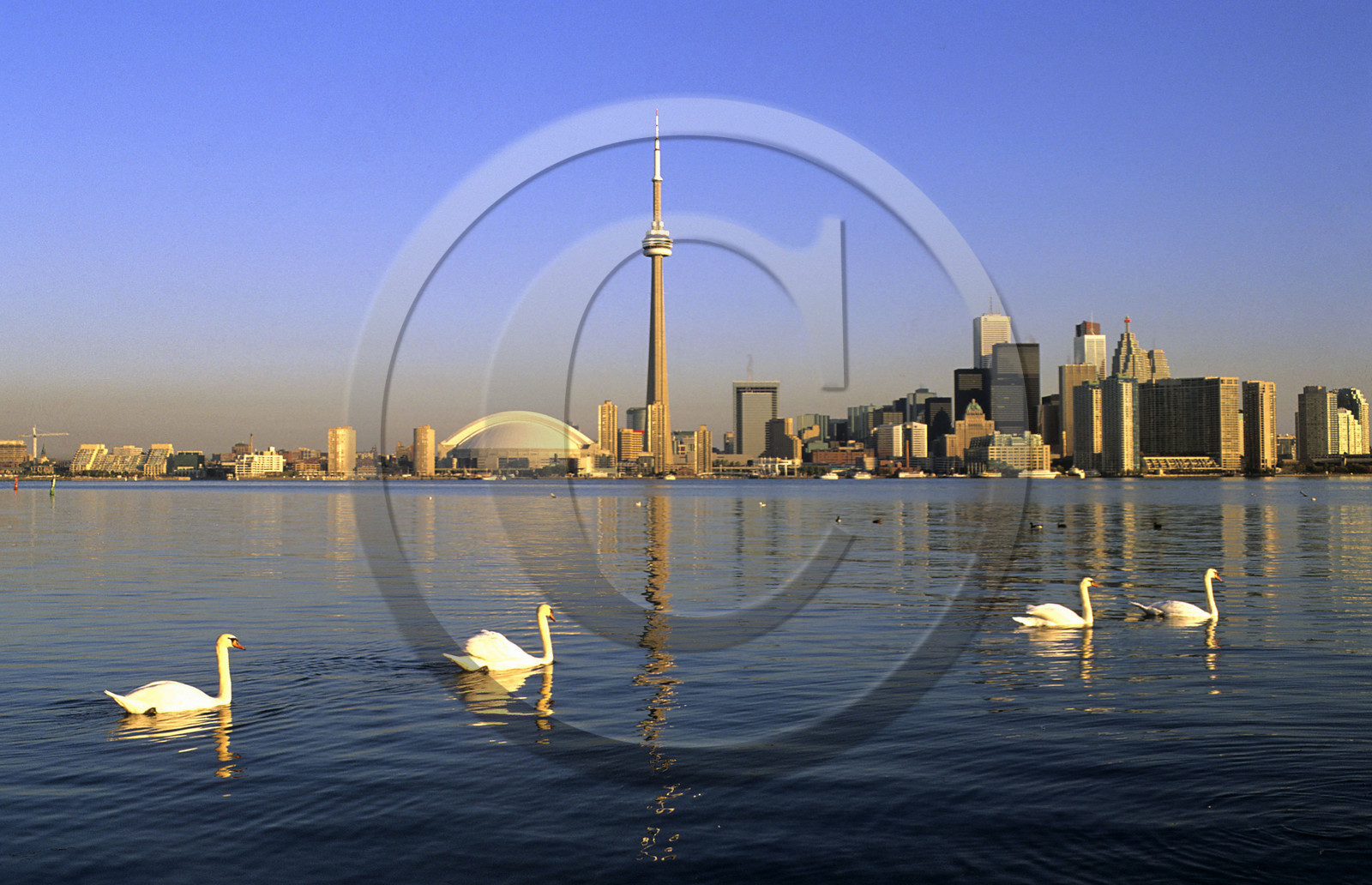 TORONTO. CANADA