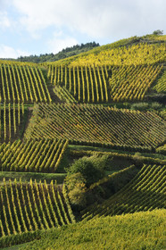 France, Alsace