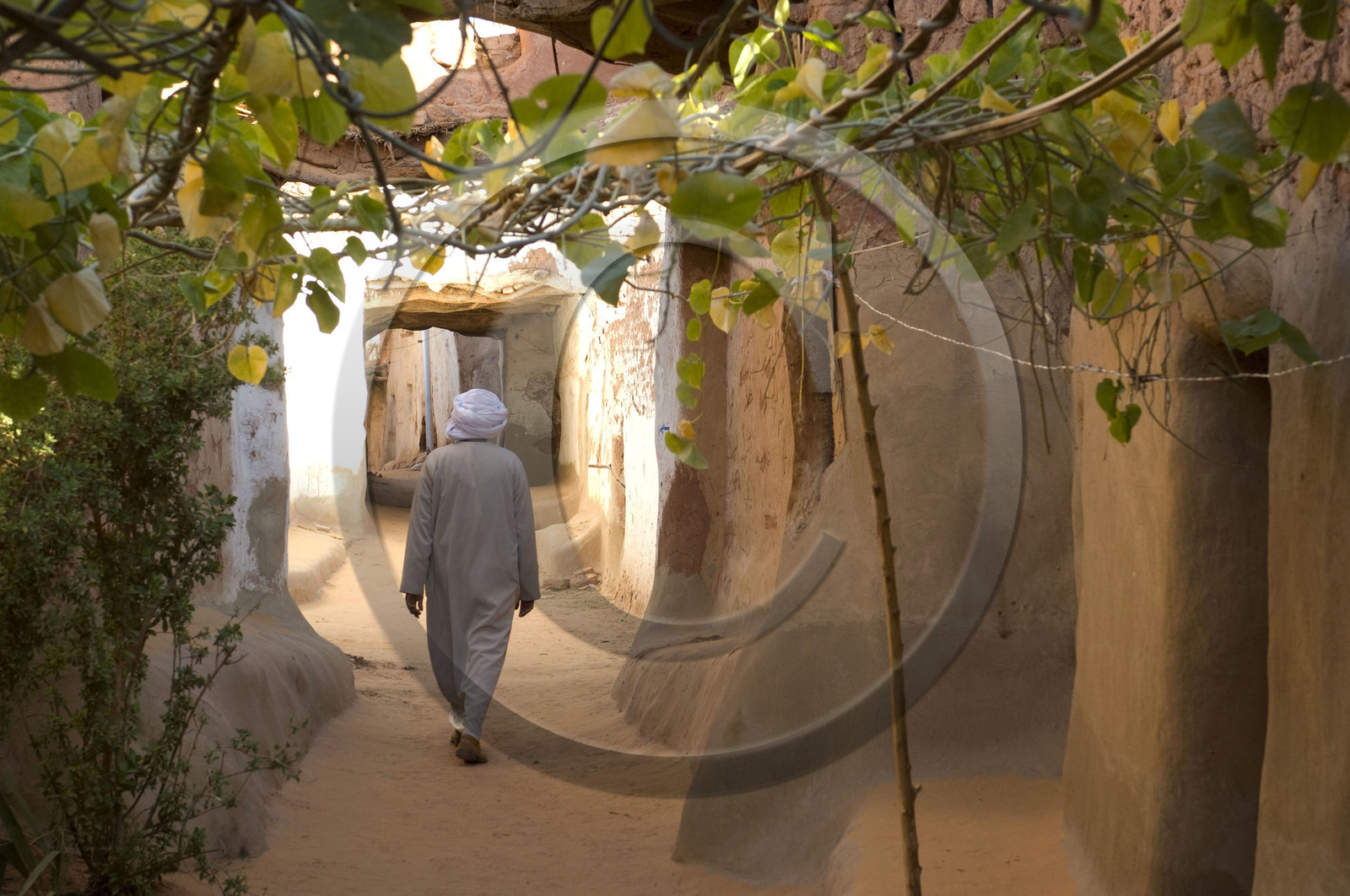 Egypte, Dakhla