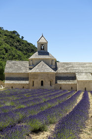 France, Senanque