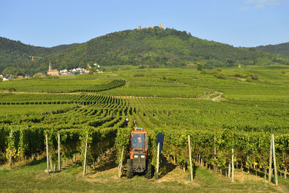 France, Husseren