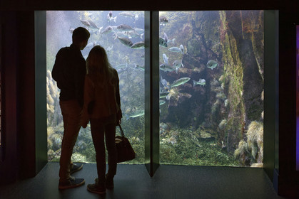 France, Oceanopolis