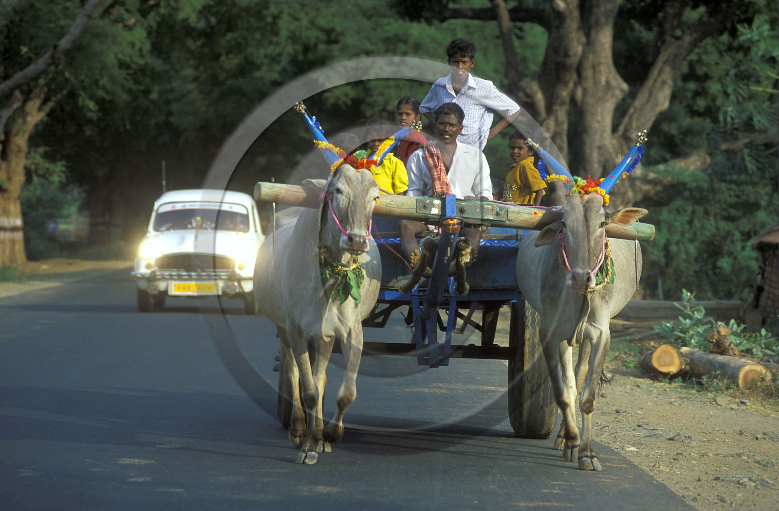 Inde du Sud