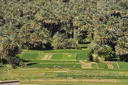 Maroc, Tineghir