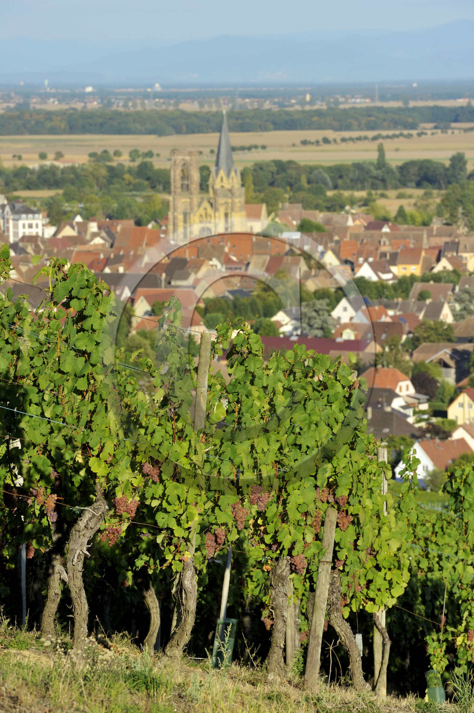 France, Alsace