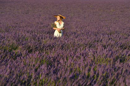 France, Valensole