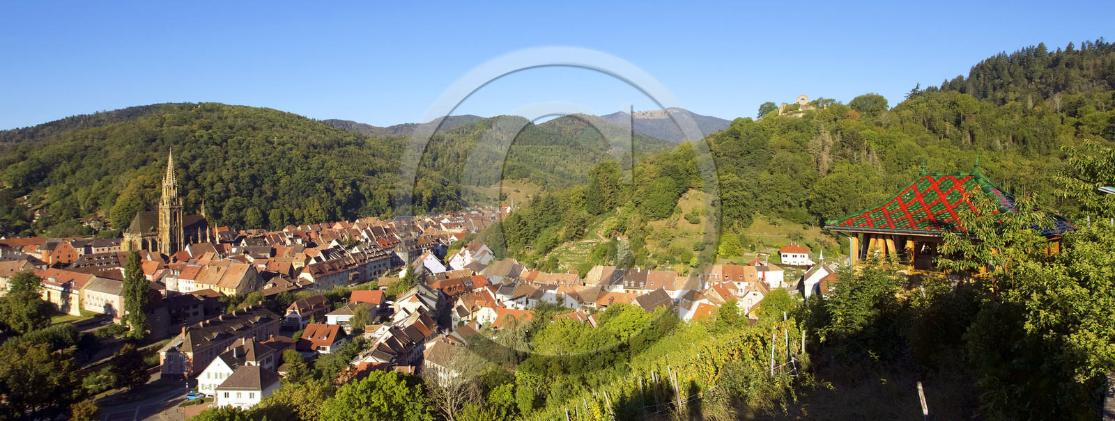 France, Thann