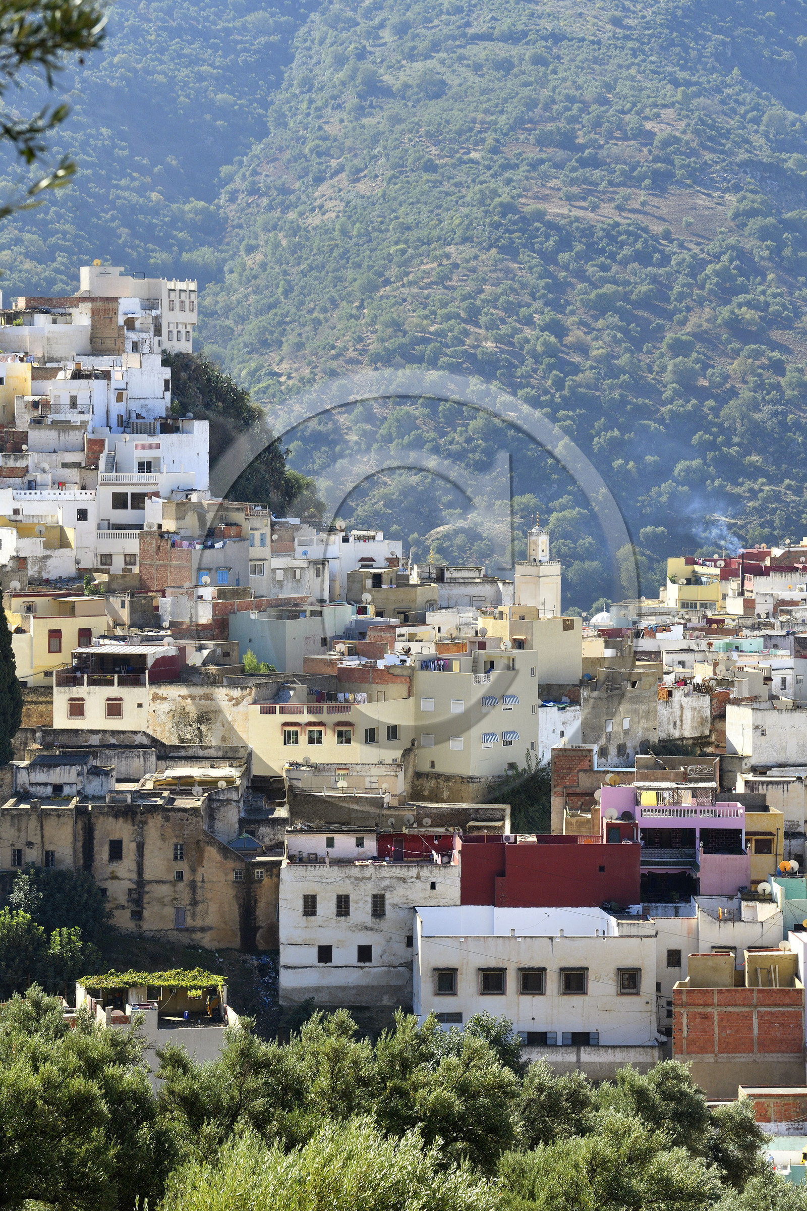 Maroc, Moulay Idriss