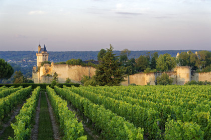 France,  Chinon