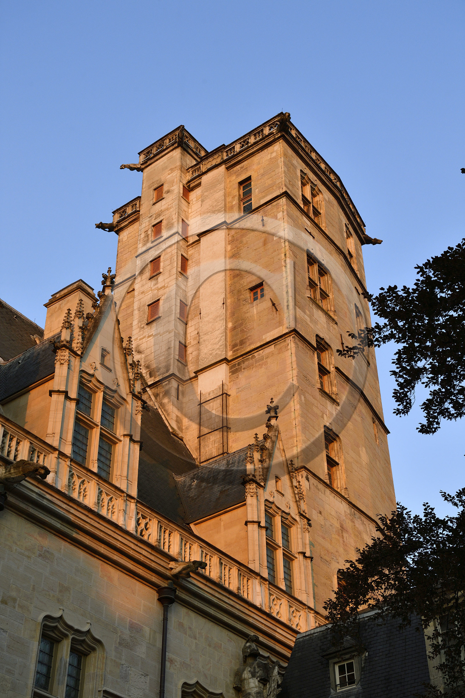 France, Dijon