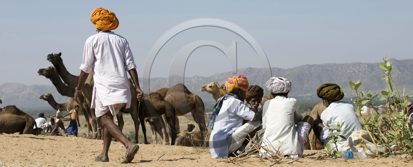 Inde, Pushkar