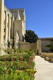 France, Avignon