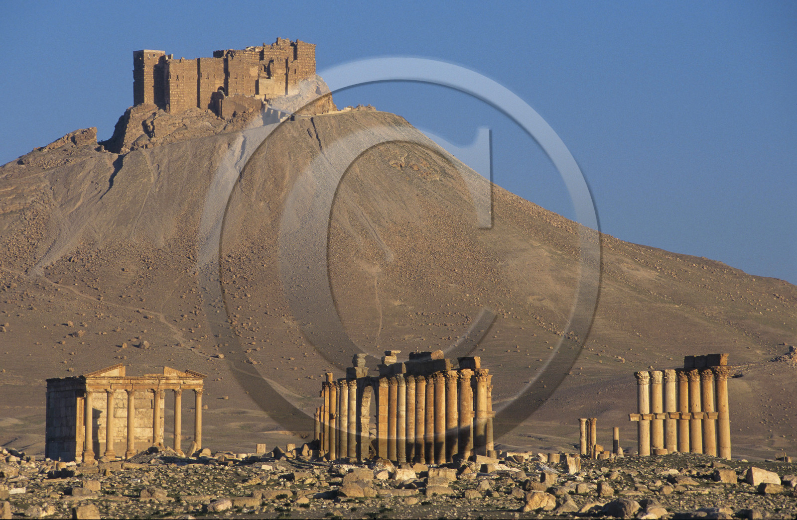 Palmyre, Syrie