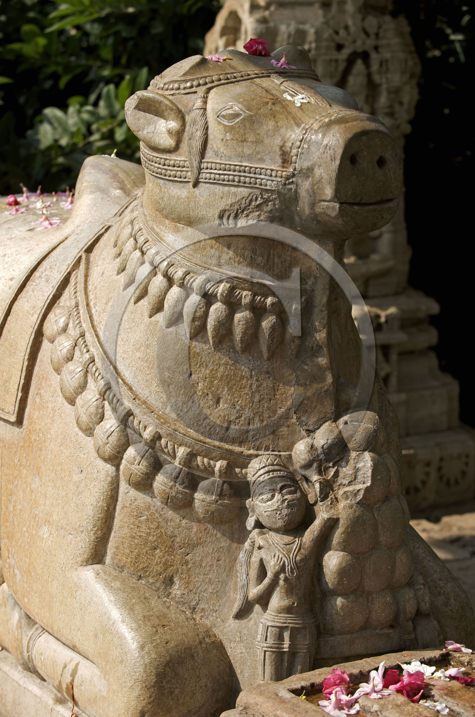 Inde, Chittorgarh