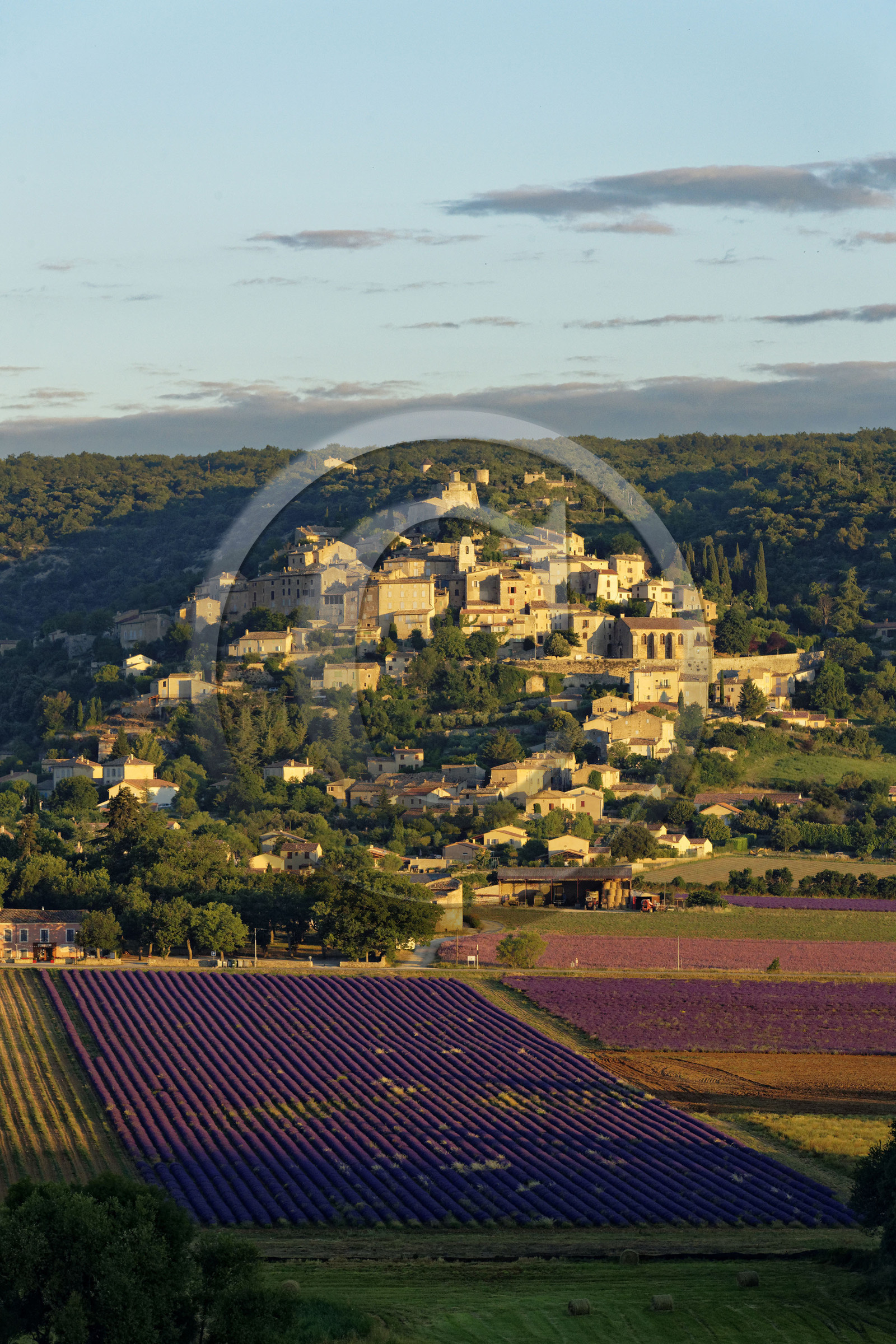 France, Simiane la Rotonde