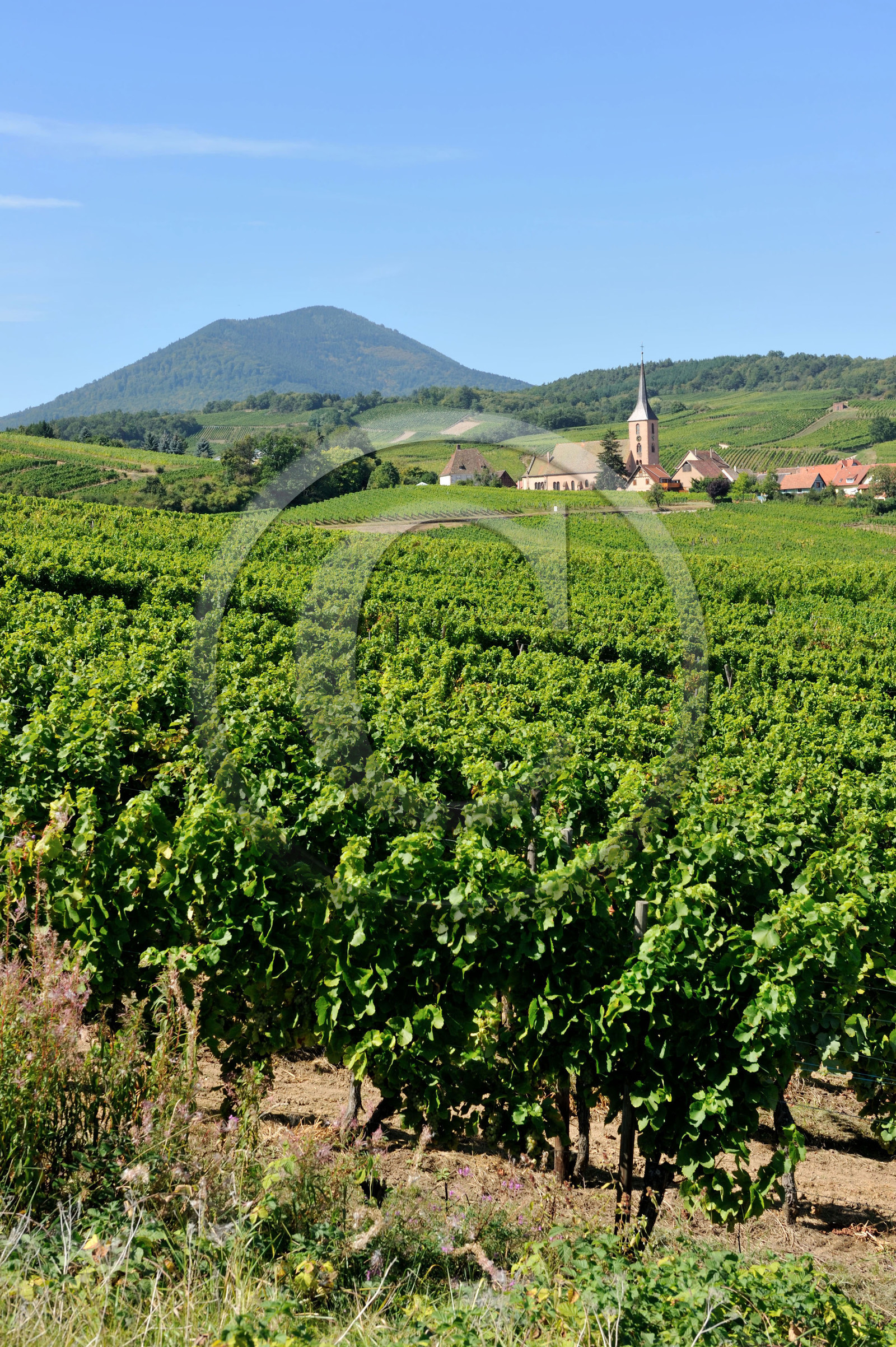 France, Alsace