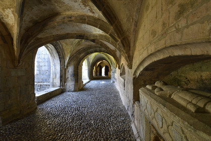 France france haute garonne saint bertrand comminges