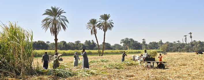 Egypte, Nil