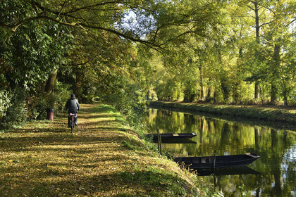 France, Marais Poitevin
