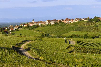 France, Zellenberg