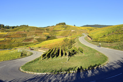 France, Turckheim