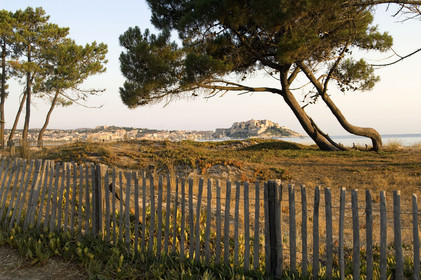 Calvi, Corse