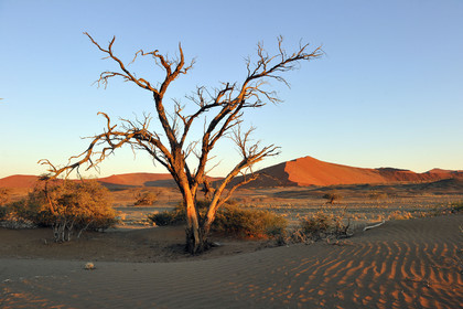 Namibie, Sossusvlei