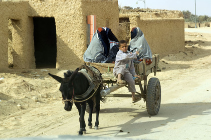 Egypte, Siwa