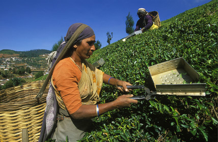 Inde du Sud