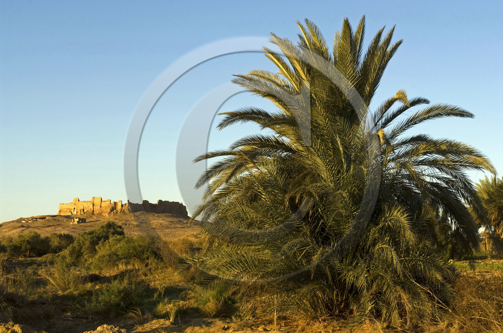 Egypte, Kharga