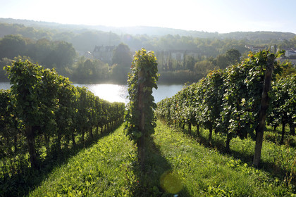 France, Moselle