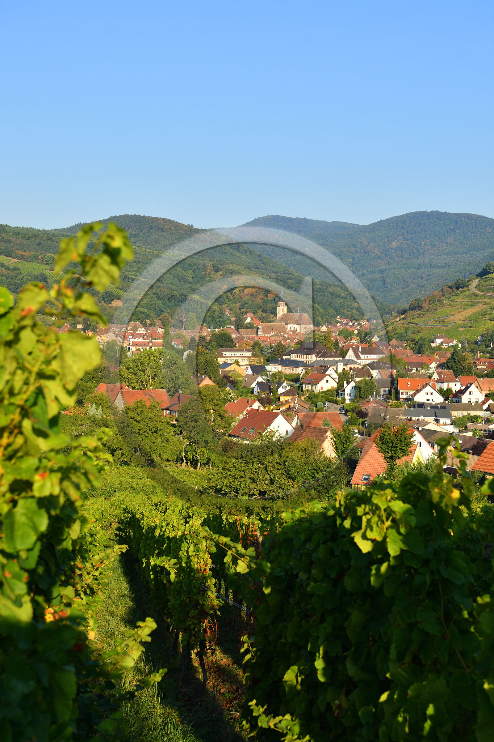France, Alsace