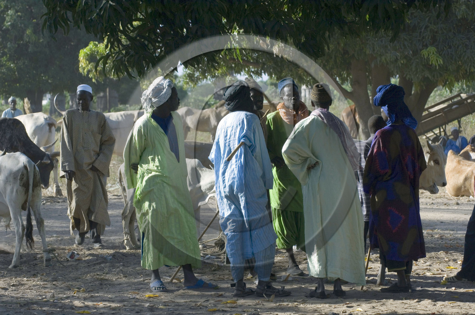 Marché de Gueguenne, Sénégal