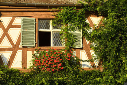 France, Turckheim