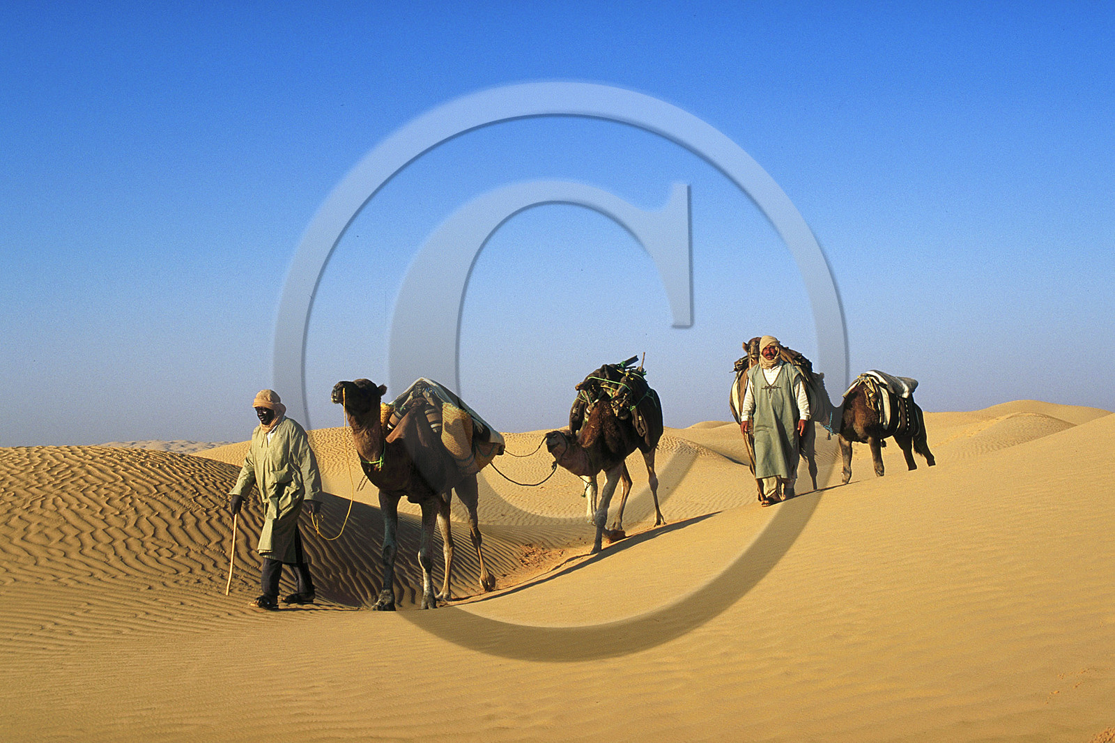 Erg, Tunisie