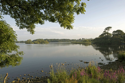 Irlande, Killarney