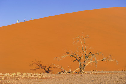 Namibie, Sossusvlei
