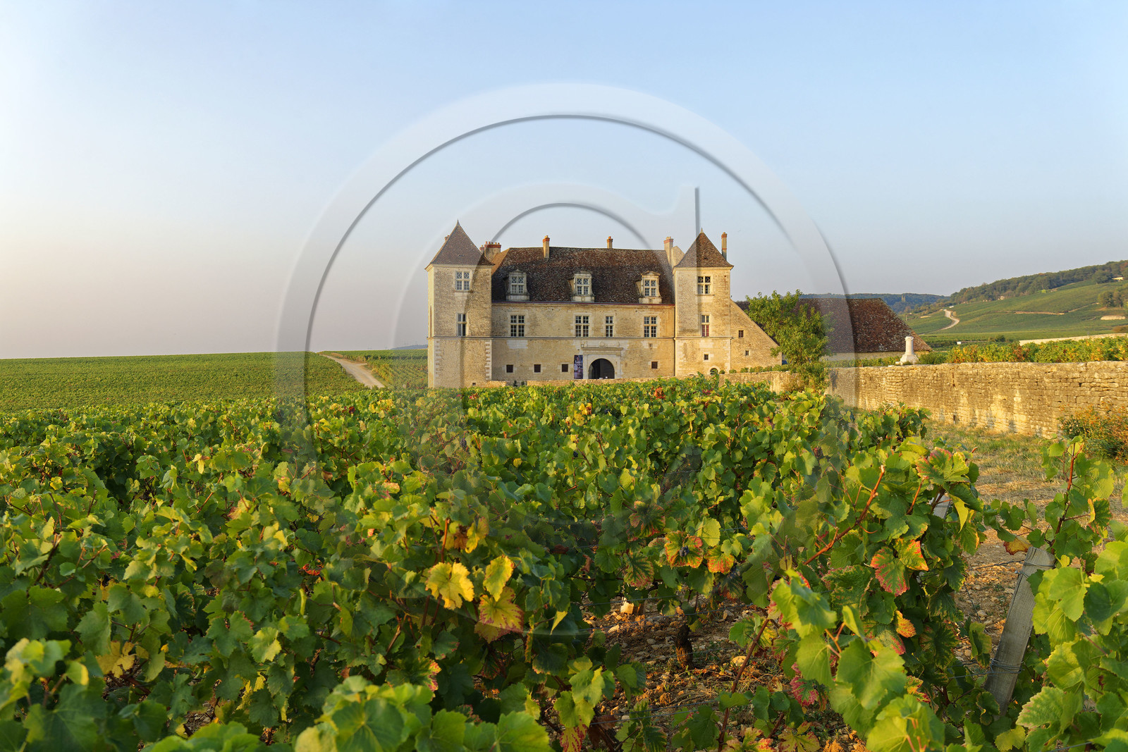 France, Vougeot