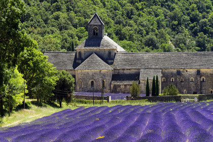France, Senanque