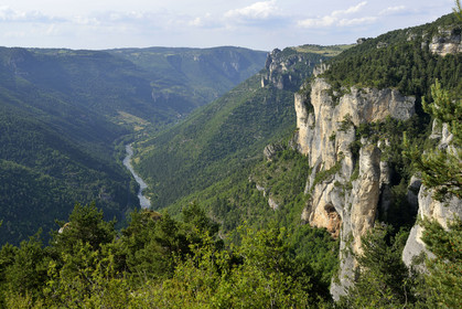 France, Tarn