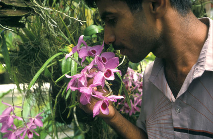 SRI LANKA